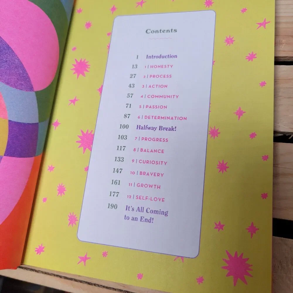BOOK My Queer Year: A Guided Journal Diary by Ashley Molesso (Hardcover) NEW